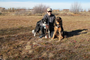 pet friendly cabins