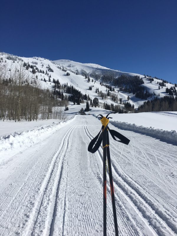 norcdic ski trail
