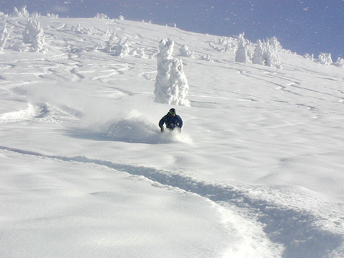 powder ski day