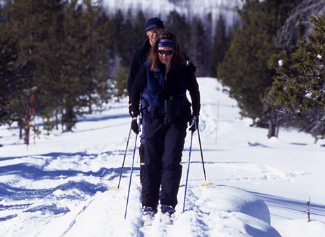 cross-country-ski-crop