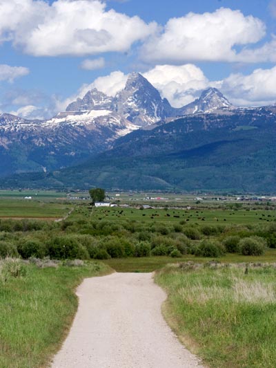 Teton Valley Lodging and Information