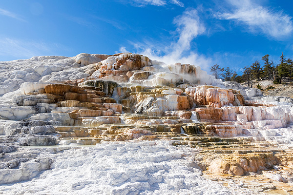 yellowstone-mammoth.jpg